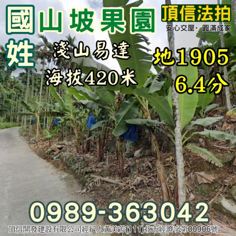 南投國姓法拍農地-1