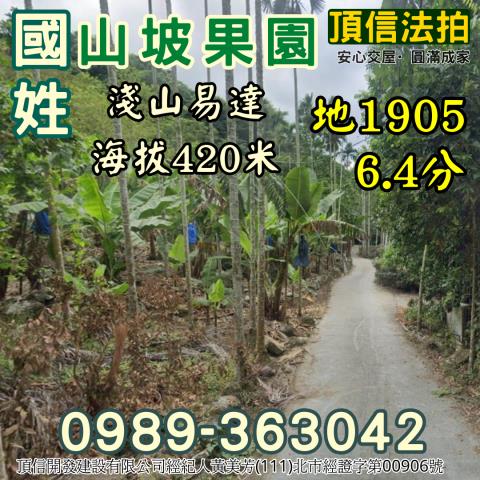 南投國姓法拍農地-2