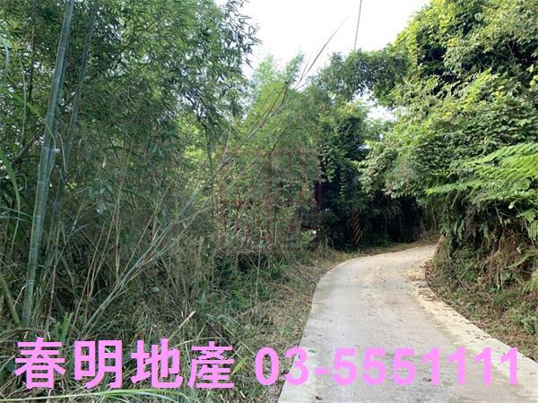 新竹尖石林地-2