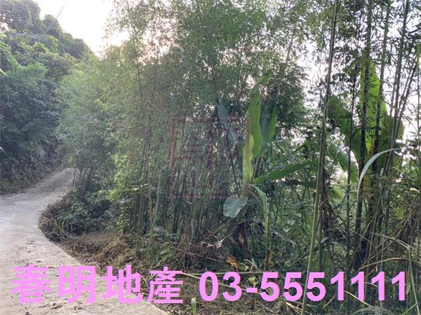 新竹尖石林地-4