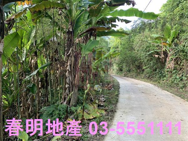 新竹尖石林地-5