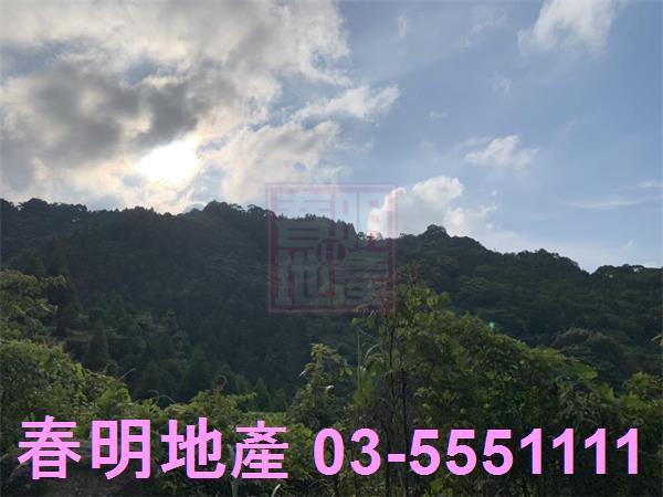 新竹尖石林地-9