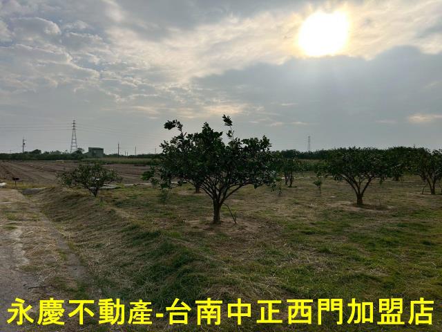 台南麻豆農地-1
