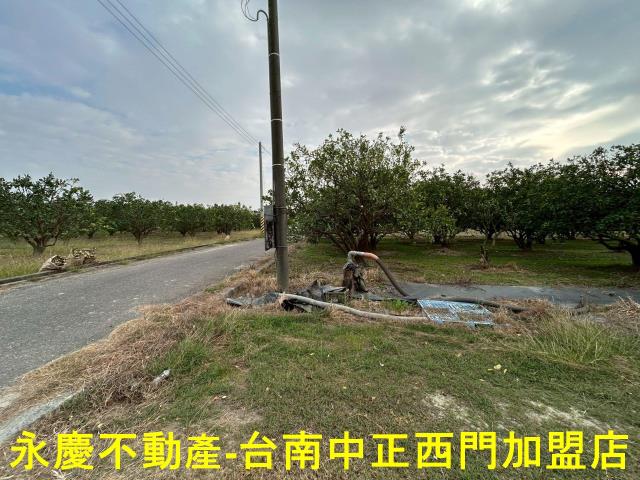 台南麻豆農地-8