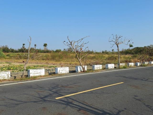 台南學甲農地-9