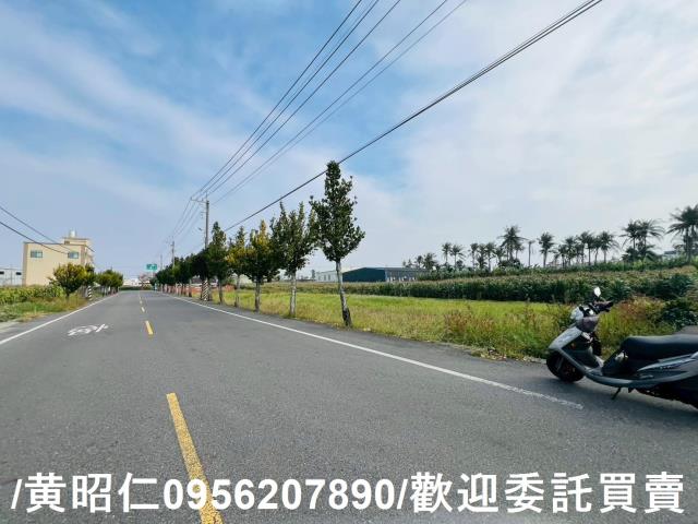 台南安定農地-4