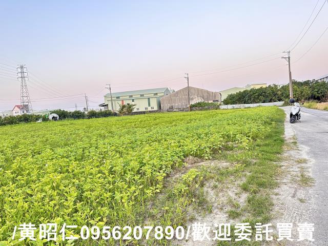 台南仁德農地-8