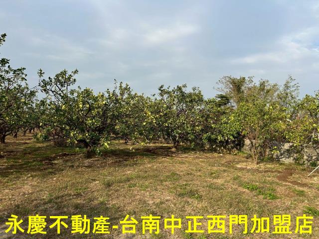 台南麻豆農地-1