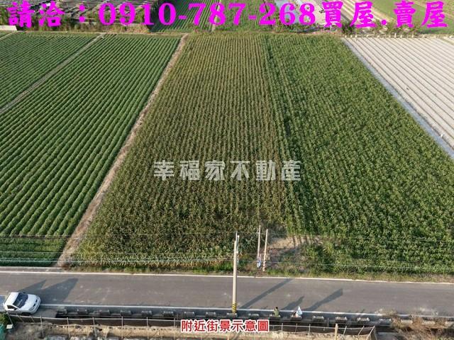 柳營農地-10