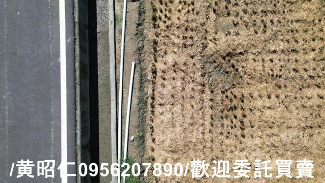 西港農地-9