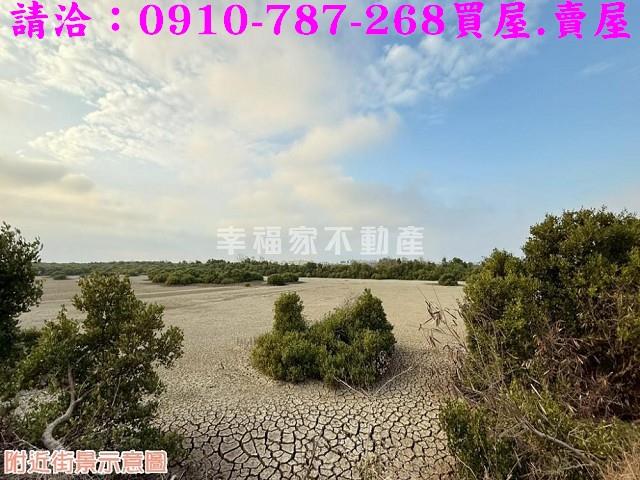 台南農地-11