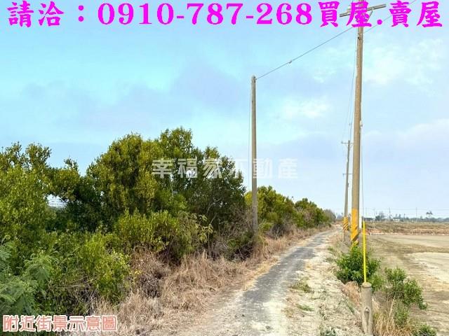 台南農地-8