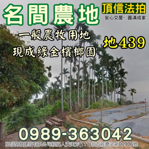 南投名間法拍農地-2