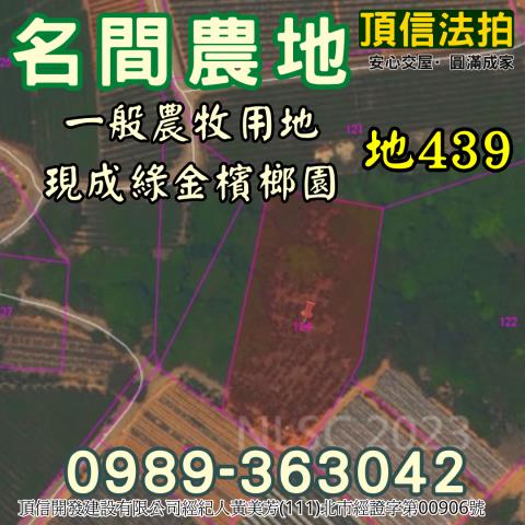 南投名間法拍農地-4