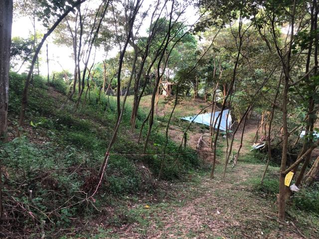 台中太平農地-12