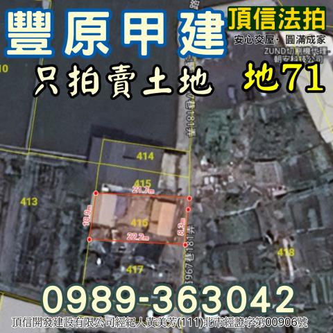 台中法拍建地-3