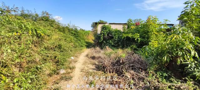 台南農地-10
