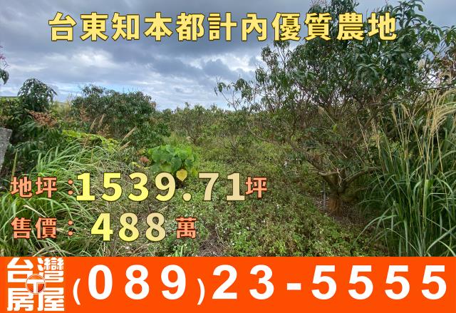 台東台東市農地-4