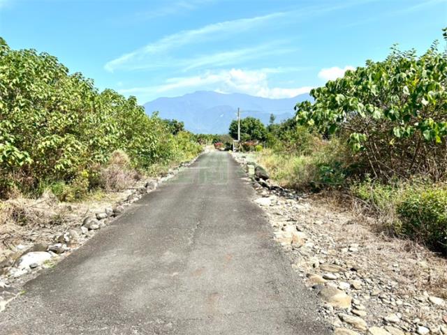 屏東高樹農地-1