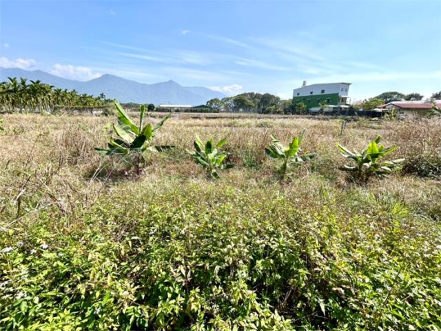 屏東高樹農地-3