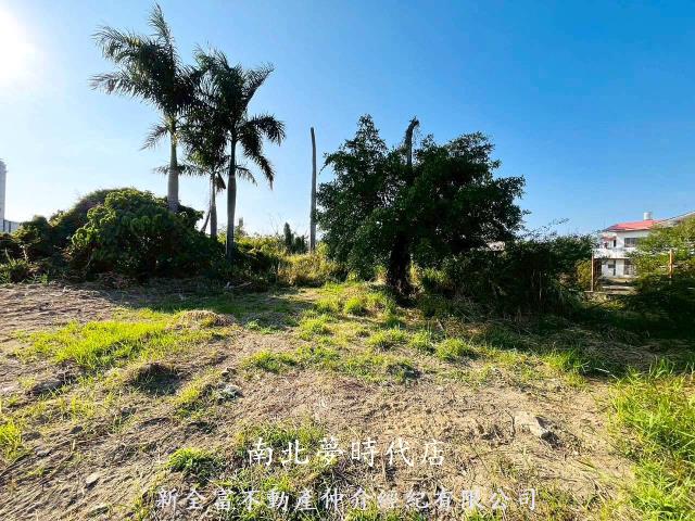 台南農地-2