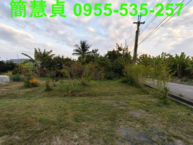 南投南投市農地-8