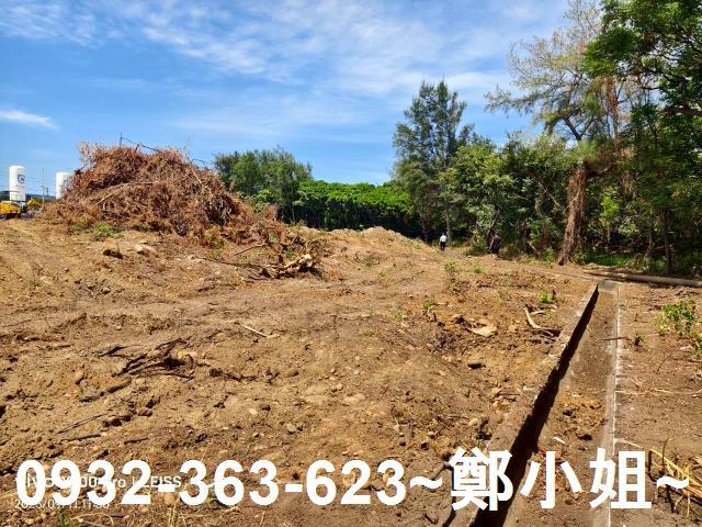 桃園觀音工業地-4