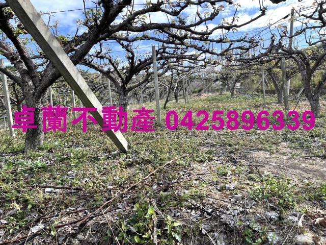 苗栗卓蘭農地-10