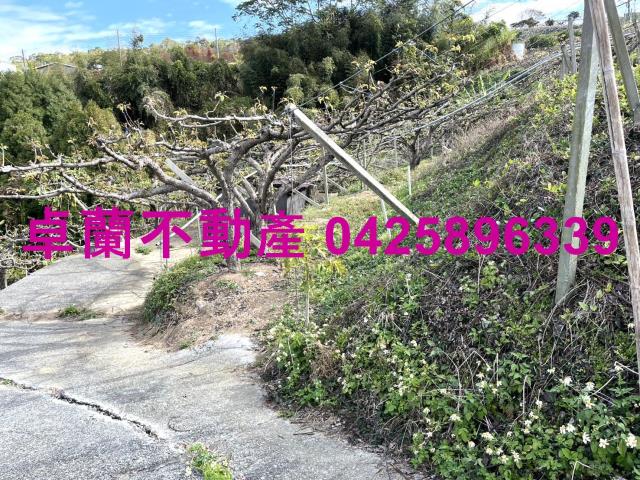 苗栗卓蘭農地-6