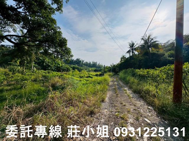 台南左鎮農地-4