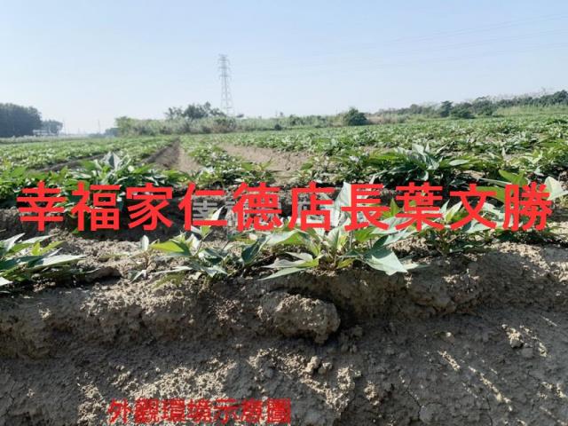 善化農地-8