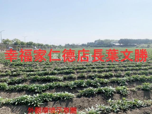 善化農地-11
