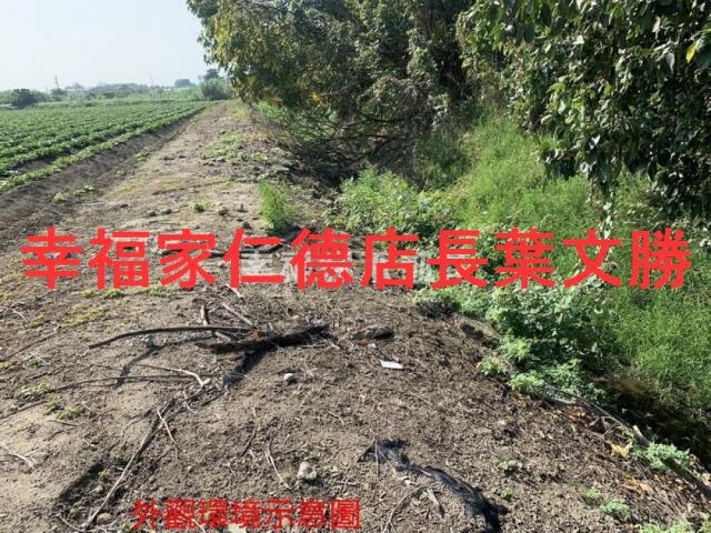 善化農地-2