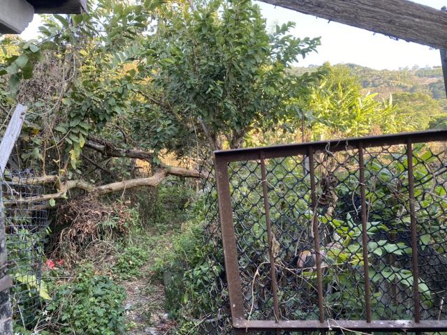 台中東勢建地-1