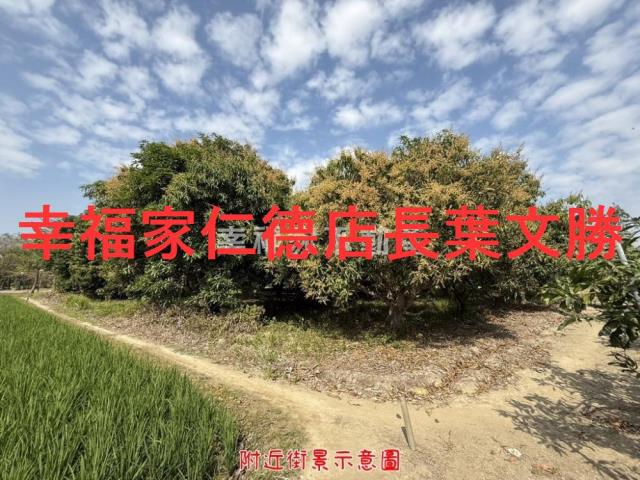 台南歸仁農地-6