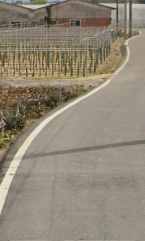 嘉義中埔農地法拍-8