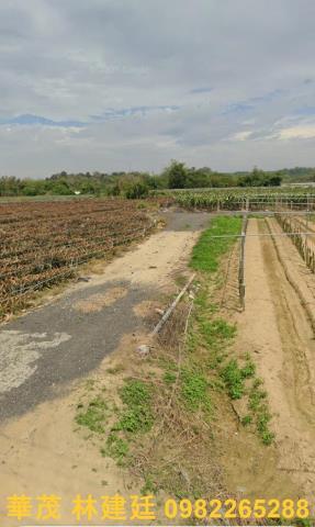 嘉義中埔農地法拍-2