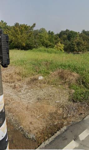 嘉義大林法拍農地-6