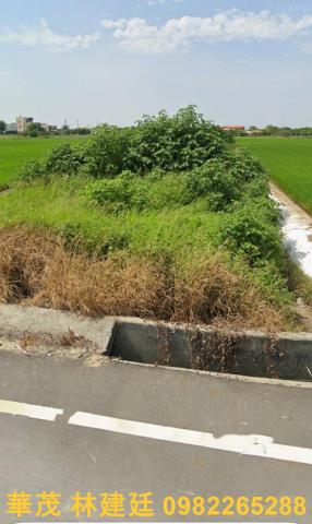 新港農地法拍-3