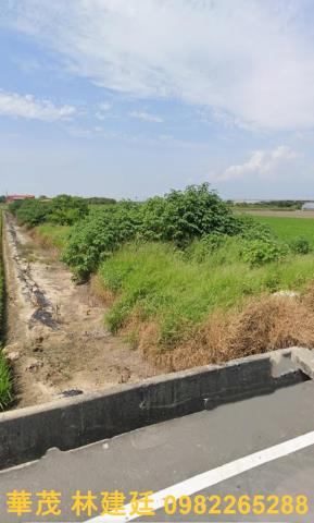 新港農地法拍-6