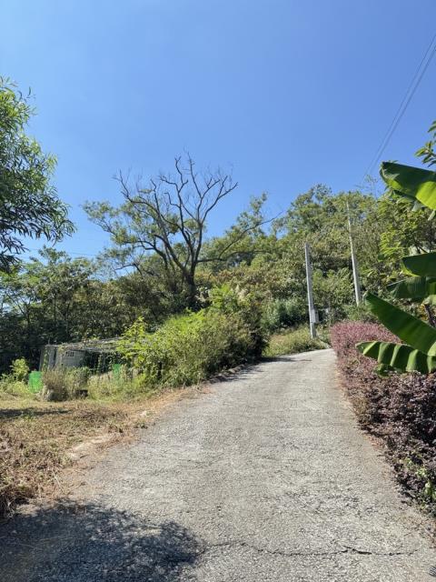 東勢農地-5
