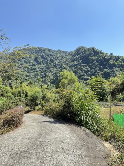 東勢農地-8