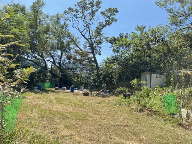 東勢農地-6