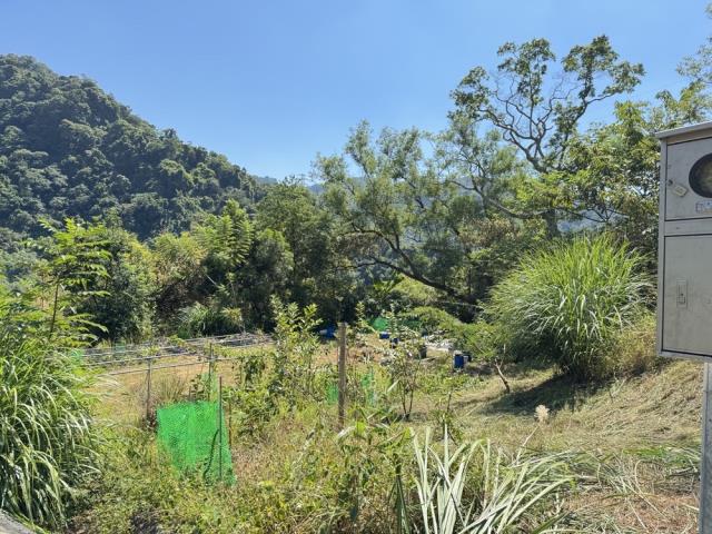 東勢農地-7