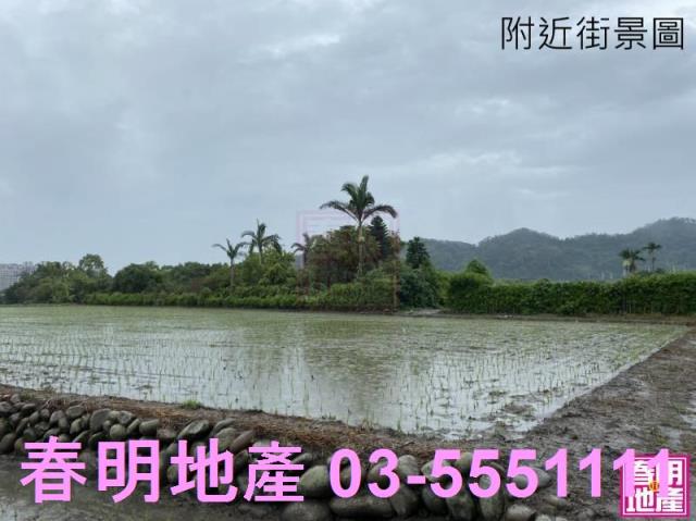 新竹竹北農地-6