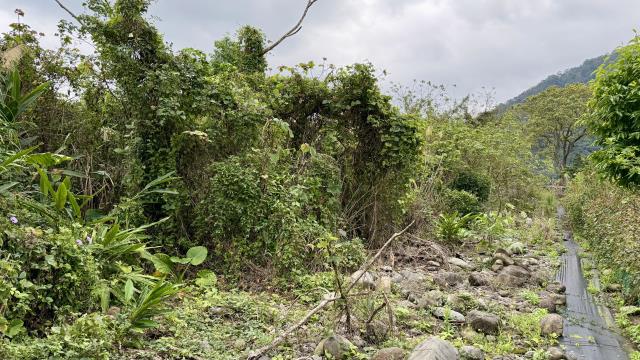 新竹橫山農地-6