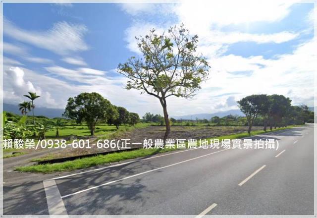 花蓮壽豐大面寬一般農
