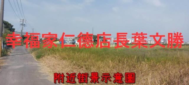 台南仁德農地-10