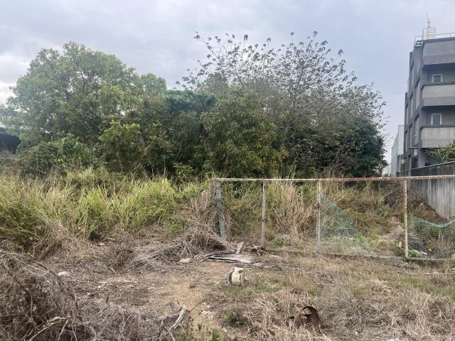 台中大雅農地-8