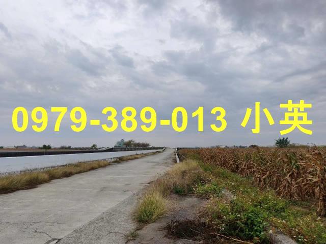 台南鹽水農地-1